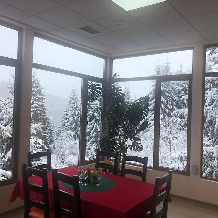 Genco Hotel Mountain View プレデアル エクステリア 写真