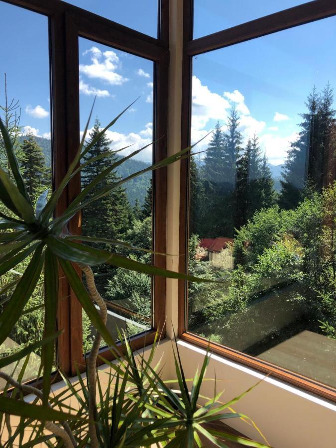 Genco Hotel Mountain View プレデアル エクステリア 写真