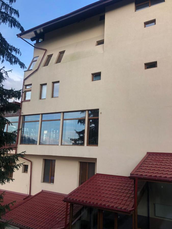 Genco Hotel Mountain View プレデアル エクステリア 写真