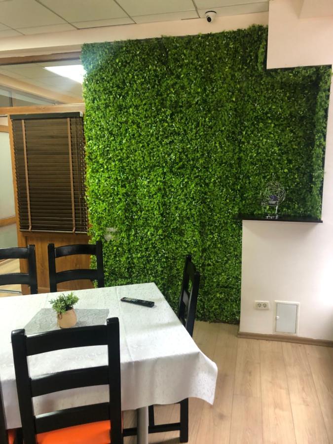 Genco Hotel Mountain View プレデアル エクステリア 写真
