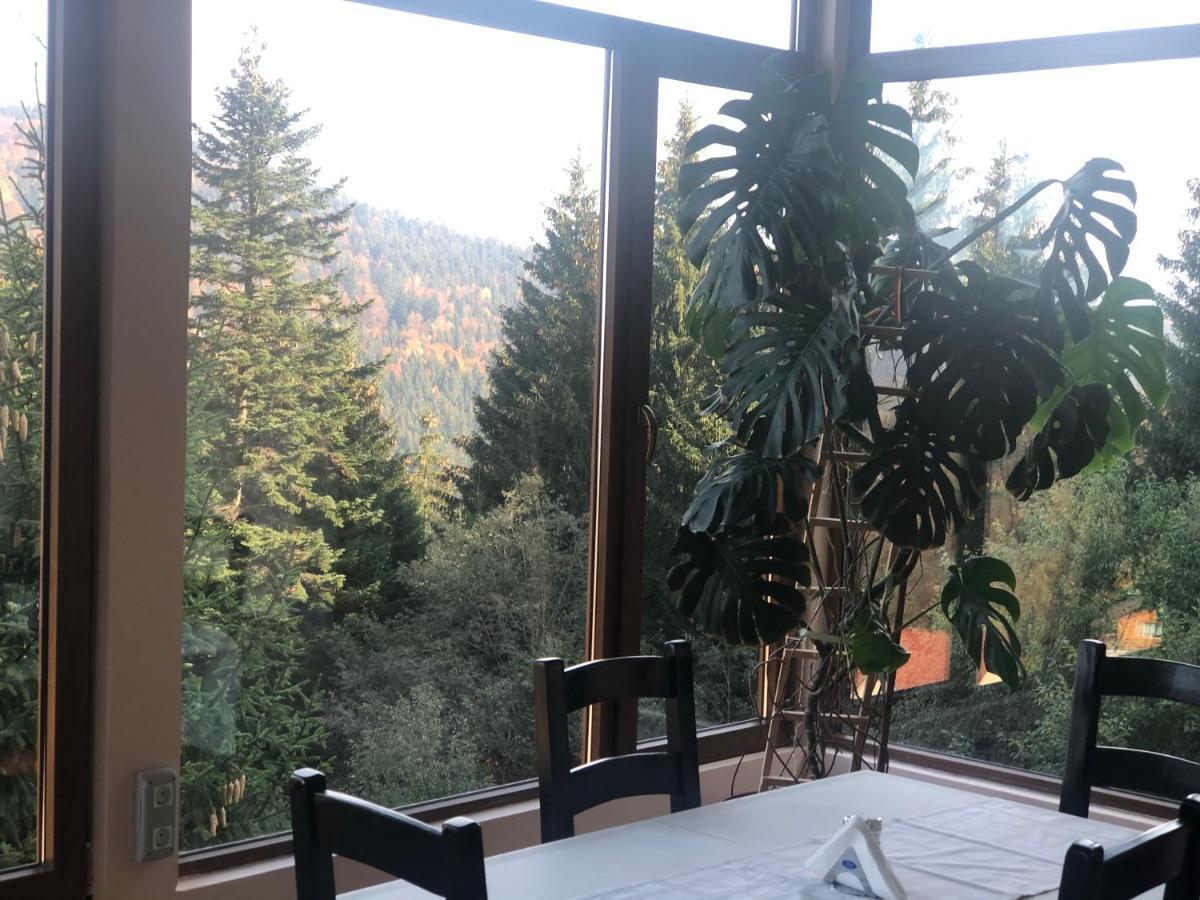 Genco Hotel Mountain View プレデアル エクステリア 写真